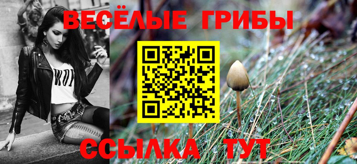 Псилоцибиновые грибы прущие грибы  Вход с VPN  Подольск 